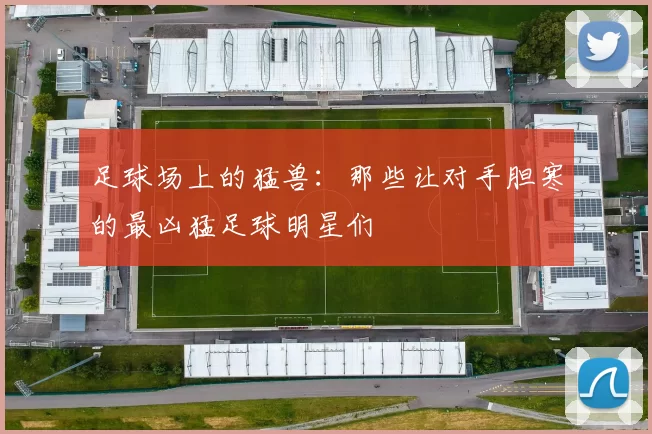 足球场上的猛兽：那些让对手胆寒的最凶猛足球明星们