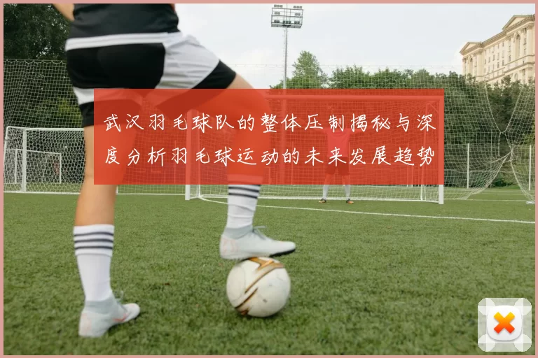 武汉羽毛球队的整体压制揭秘与深度分析羽毛球运动的未来发展趋势