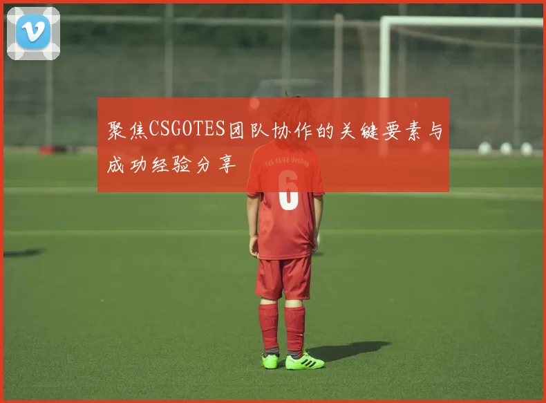 聚焦CSGOTES团队协作的关键要素与成功经验分享