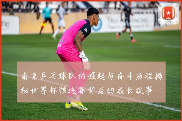 南京乒乓球队的崛起与奋斗历程揭秘世界杯预选赛背后的成长故事