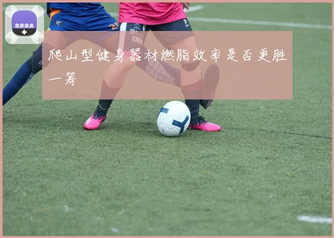 爬山型健身器材燃脂效率是否更胜一筹
