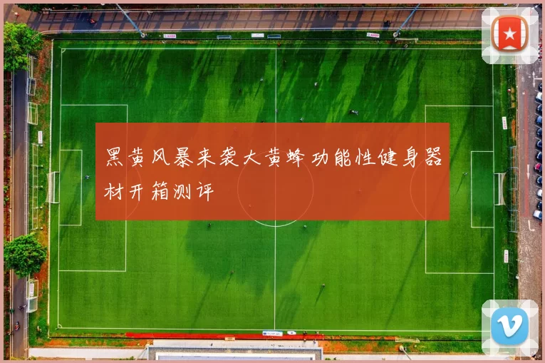 黑黄风暴来袭大黄蜂功能性健身器材开箱测评