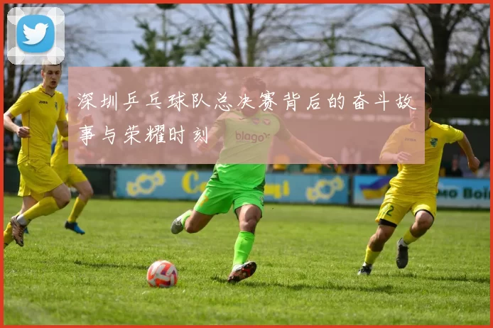 深圳乒乓球队总决赛背后的奋斗故事与荣耀时刻