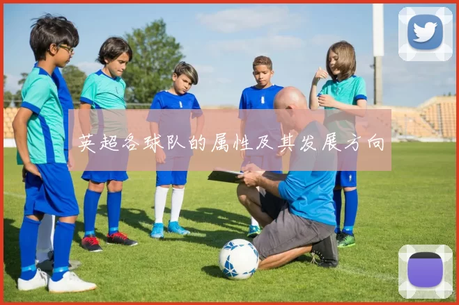 英超各球队的属性及其发展方向