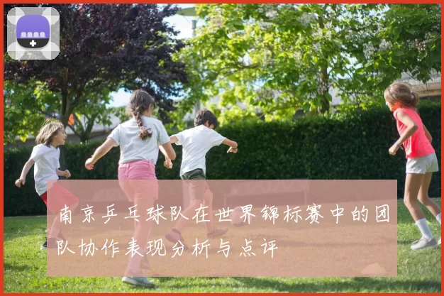 南京乒乓球队在世界锦标赛中的团队协作表现分析与点评