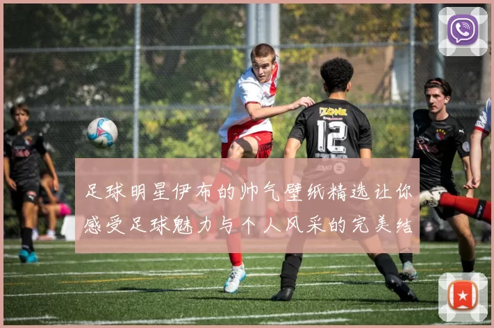 足球明星伊布的帅气壁纸精选让你感受足球魅力与个人风采的完美结合