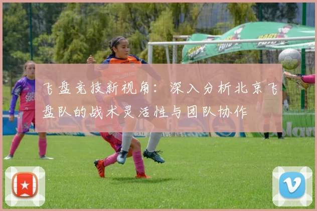 飞盘竞技新视角：深入分析北京飞盘队的战术灵活性与团队协作