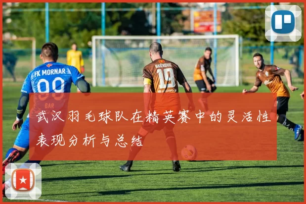 武汉羽毛球队在精英赛中的灵活性表现分析与总结
