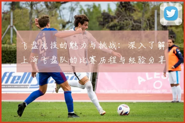 飞盘竞技的魅力与挑战：深入了解上海飞盘队的比赛历程与经验分享