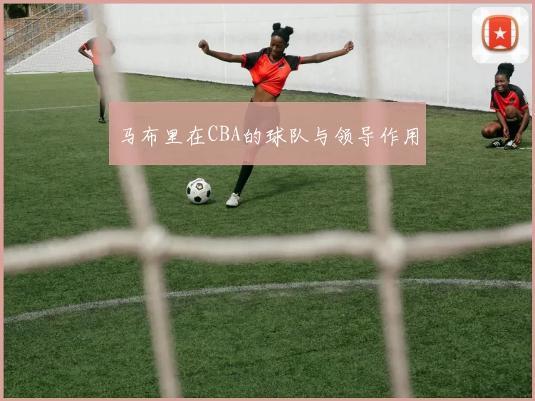 马布里在CBA的球队与领导作用
