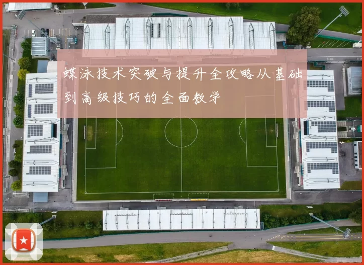 蝶泳技术突破与提升全攻略从基础到高级技巧的全面教学