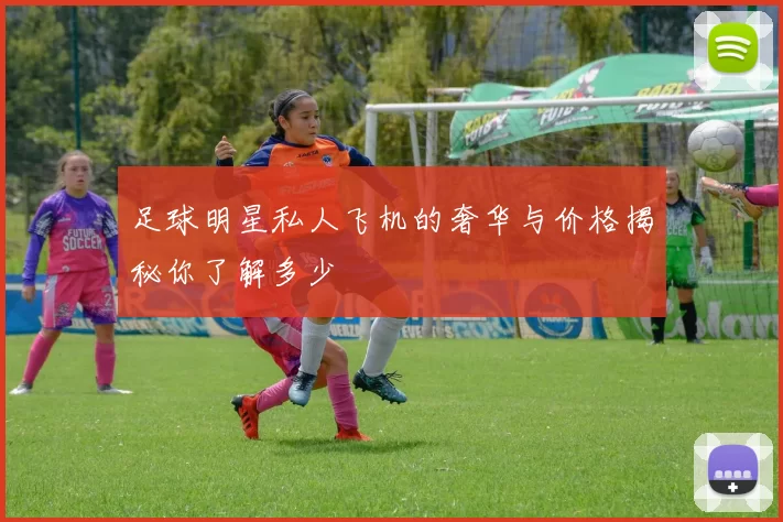 足球明星私人飞机的奢华与价格揭秘你了解多少