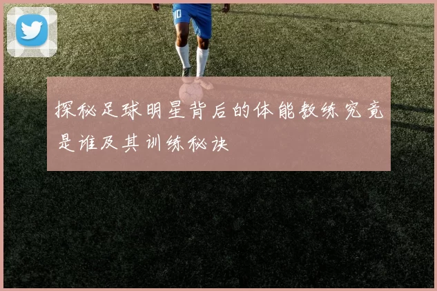 探秘足球明星背后的体能教练究竟是谁及其训练秘诀