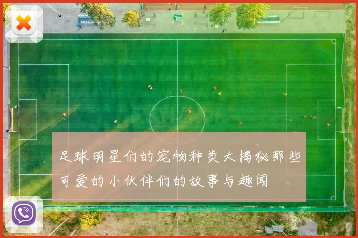 足球明星们的宠物种类大揭秘那些可爱的小伙伴们的故事与趣闻