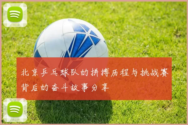 北京乒乓球队的拼搏历程与挑战赛背后的奋斗故事分享