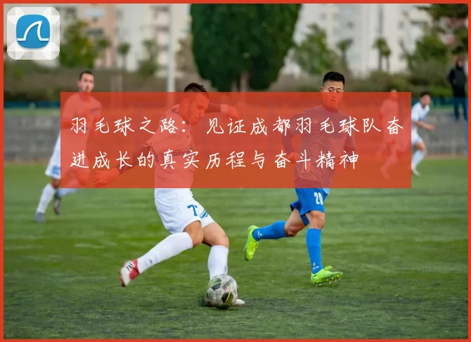 羽毛球之路：见证成都羽毛球队奋进成长的真实历程与奋斗精神