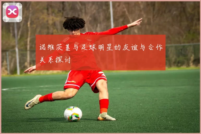 诺维茨基与足球明星的友谊与合作关系探讨