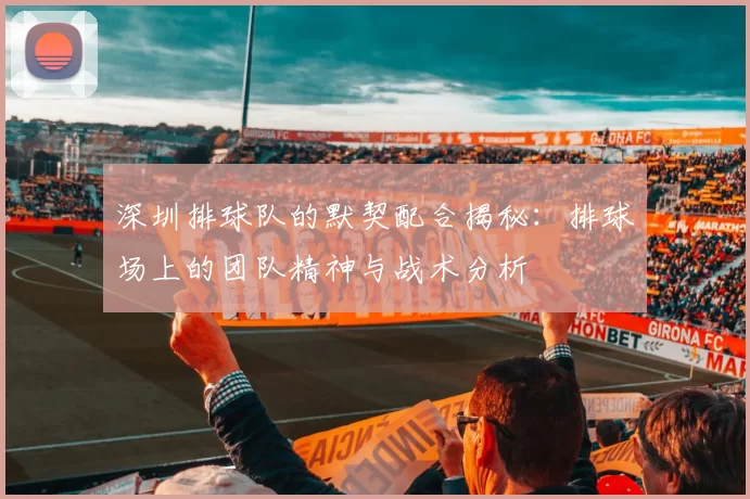 深圳排球队的默契配合揭秘：排球场上的团队精神与战术分析
