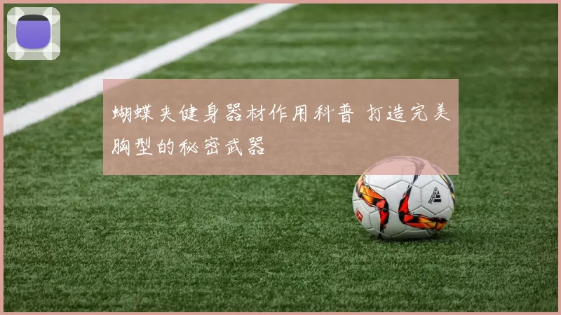 蝴蝶夹健身器材作用科普 打造完美胸型的秘密武器